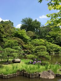 Scenic view of lake by trees against sky