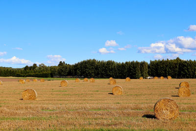 Hay bales on field against sky