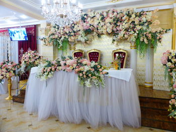 Flowering plants against white wall