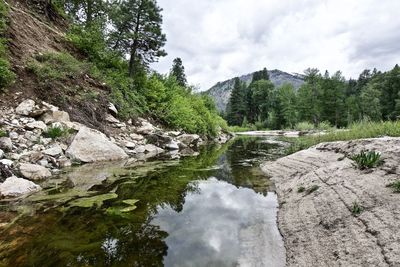 Scenic view of river against sky