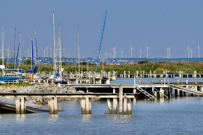 Sailboats in water in marina against many wind turbines in clear sky