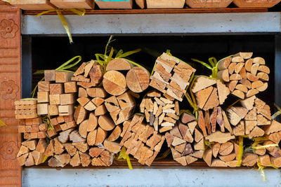 Stack of logs in forest