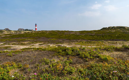 Lighthouse on street amidst buildings against sky