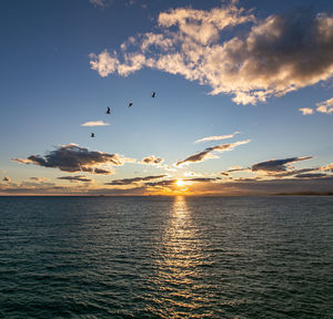 Birds flying over sea against sky