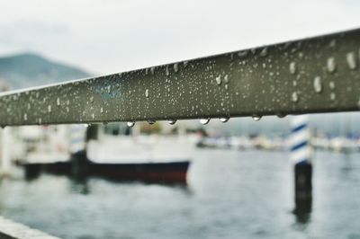 Close-up of water drops on white background