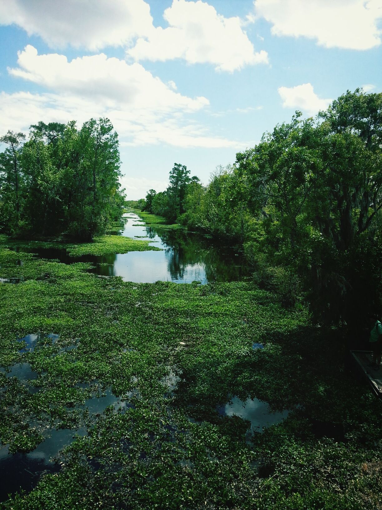 Jean Lafitte National Historical Park