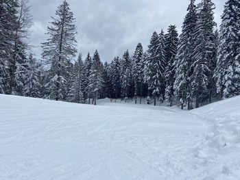 Borovets ski resort  yastrebets 