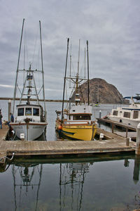 Boats moored at harbor