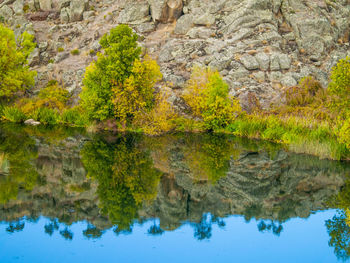 Reflection of trees on lake during autumn