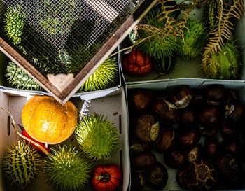 Close-up of fruits on table