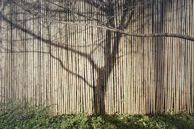 Close-up of metal fence on field