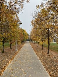 Footpath amidst leaves in park during autumn