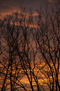 Low angle view of silhouette bare trees against sky at sunset