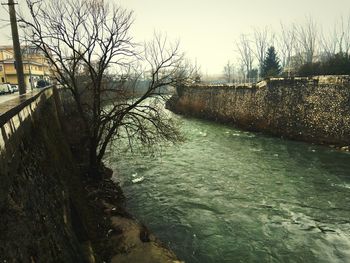 River amidst bare trees against clear sky