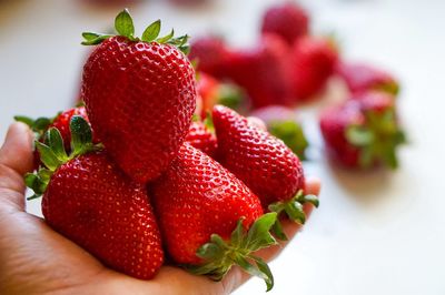 Close-up of strawberries