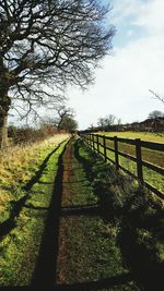 Scenic view of grassy field against sky