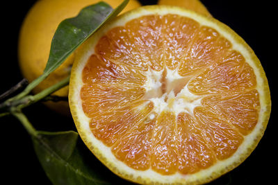 Close-up of orange slices