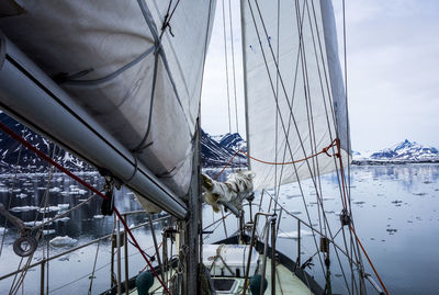 Sailboats sailing on sea against sky among ice