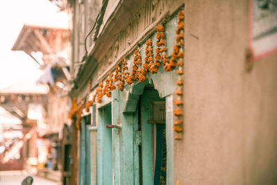 Low angle view of house hanging in building