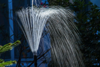 Close-up of bird by water