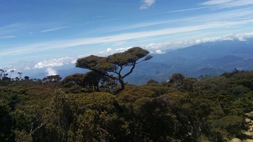 Scenic view of mountains against cloudy sky