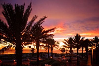 Silhouette palm trees against sky during sunset
