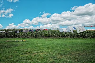 Trees on field against cloudy sky