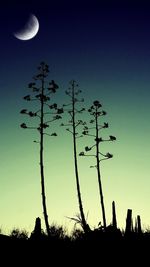 Low angle view of silhouette trees against sky at dusk