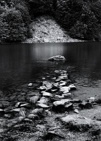 Scenic view of lake