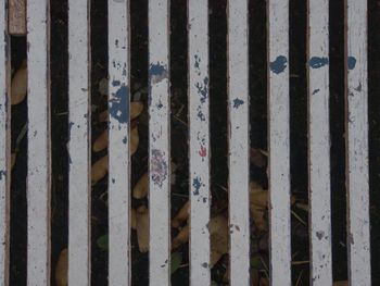 Detail shot of fence