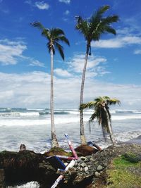 Palm trees on beach against sky