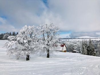 Lonely house in the mountains surrounded by forest covered in snow