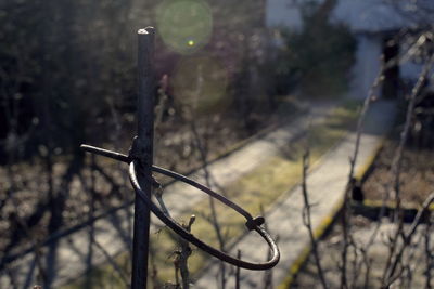 Close-up of barbed wire