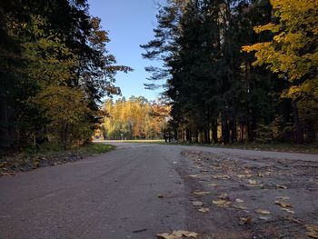 Empty road amidst trees during autumn