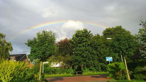 Low angle view of rainbow over trees against sky