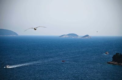 Seagull flying over sea against sky