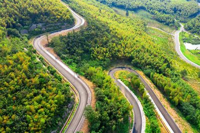 High angle view of road amidst trees in city