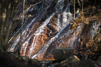 nature