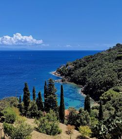 Scenic view of sea against blue sky