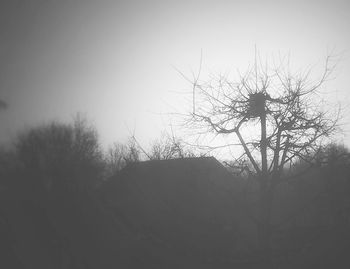 Low angle view of bare trees against sky