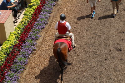 Man riding horse on field