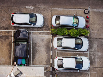 High angle view of car on road