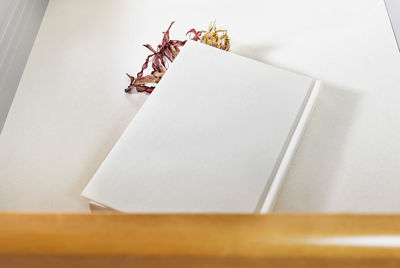 Opened drawer with red dried flower in book , memories and romantic activity