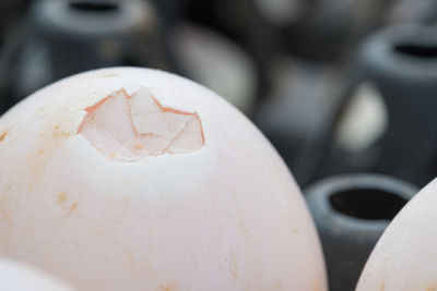 Close-up of broken egg