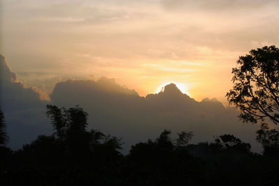 Silhouette trees against sky during sunset