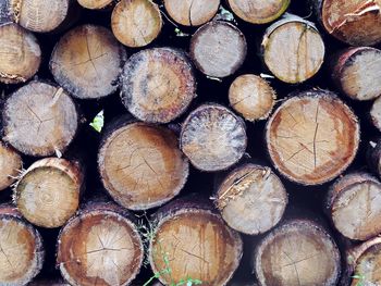 Full frame shot of firewood