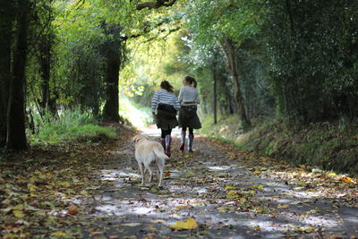 Dog standing on dirt road in forest