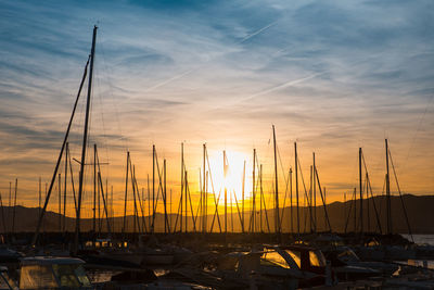 Sailboats in marina at sunset