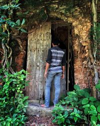 Rear view of man standing by tree