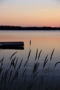 Scenic view of lake at sunset